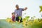 Grandfather and grandson check harvest of soy. People,farming, and agriculture concept