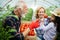 Grandfather growing organic vegetables with grandchildren and family at farm