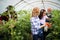 Grandfather growing organic vegetables with grandchildren and family at farm