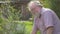 Grandfather retired elderly mature senior adult male in 60s retirement gardening