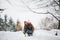 Grandfather and small girl sledging on a winter day.