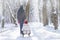 Grandfather takes his granddaughter on a sled through a snow Park. Active family holidays for adults and children. A man rides a