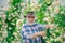 Grandfather working in garden over roses background. Flower care and watering. Happy gardener with spring flowers.