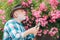 Grandfather working in garden over roses background. Grandfather enjoying in the garden with flowers. Portrait of