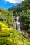 Grandiose unusually beautiful waterfall in the green jungle of the island of Sri Lanka. Overall plan. Yellow plants in the