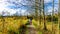 Grandma and Granddaughter walking the trails of Silverdale Creek Wetlands near Mission British Columbia, Canada