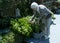 Grandma working in the garden