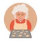 Grandmother cooking biscuits with chocolate. Granny cooking. Portrait of happy grandma in red dress and apron. Vector