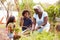 Grandmother And Grandchildren Working On Allotment