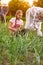 Grandmother with granddaughter picking onion