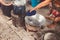 Grandmother hands homemade traditional cooking professional skill in deep fry old vintage iron pan at home