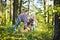 Grandmother and her girls picking mushrooms