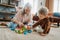 Grandmother playing with her little grandson,building a block set.