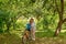 A grandmother  rides on a big red bike of a grandson  in a garden or in a forest on a sunny summer day