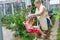 Grandmother shakes her grandson on a swing