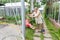 Grandmother shakes her grandson on a swing.