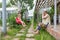 Grandmother shakes her grandson on a swing