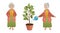 Grandmother watering a flower in a pot. Vector isolated character on a white background.