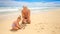 Grandpa Shows Little Blond Girl how Model Sand Patty on Beach