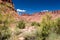 Grandstaff canyon, Colorado river