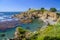 Granit Point Trail, Point Lobos State Reserve