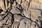 Granit stone with lichen, background