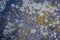 Granit texture lichen