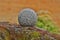 Granite ball and zen garden