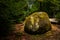 Granite boulder in the forest of Huelgoat