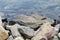 Granite Boulders Along The Lake Shoreline