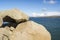 Granite Boulders, Granite Island, Victor Harbor, South Australia