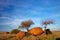 Granite boulders and trees, Namibia