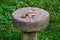 A granite circle from an old mill used as a side table