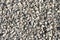 granite crushed stone as a background for photos 1