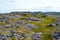 Granite exposures on a hill slope. Kola Peninsula