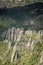 Granite formations in the Black Hills