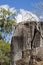 Granite Gorge Mareeba in north Queensland