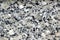 Granite gray white black stone texture closeup