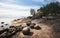 Granite island with stones. Clean nordic nature in North Europe, Baltic sea, gulf of Finland