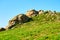 The granite megalith on the hillside