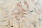 Granite natural stone texture