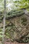 Granite outcrop hosting plants and lichen