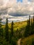 Granite Park Chalet Viewed Through Pine Forest