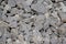 Granite is rich in quartz, mica and feldspar photographed in daylight in Bavaria