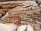 Granite Rock and Algae in Shek O Coast in Hong Kong