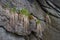 Granite rock in the Jizerske hory Mts