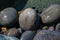 Granite rocks in Granite Bay, Noosa National Park
