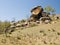 Granite rocks in the steppe