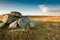 Granite rocks in wild open area