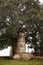 Granite statue of bearded man and tree